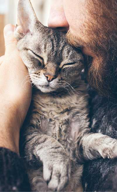 Zyrtec, comunicação de alergia a animais