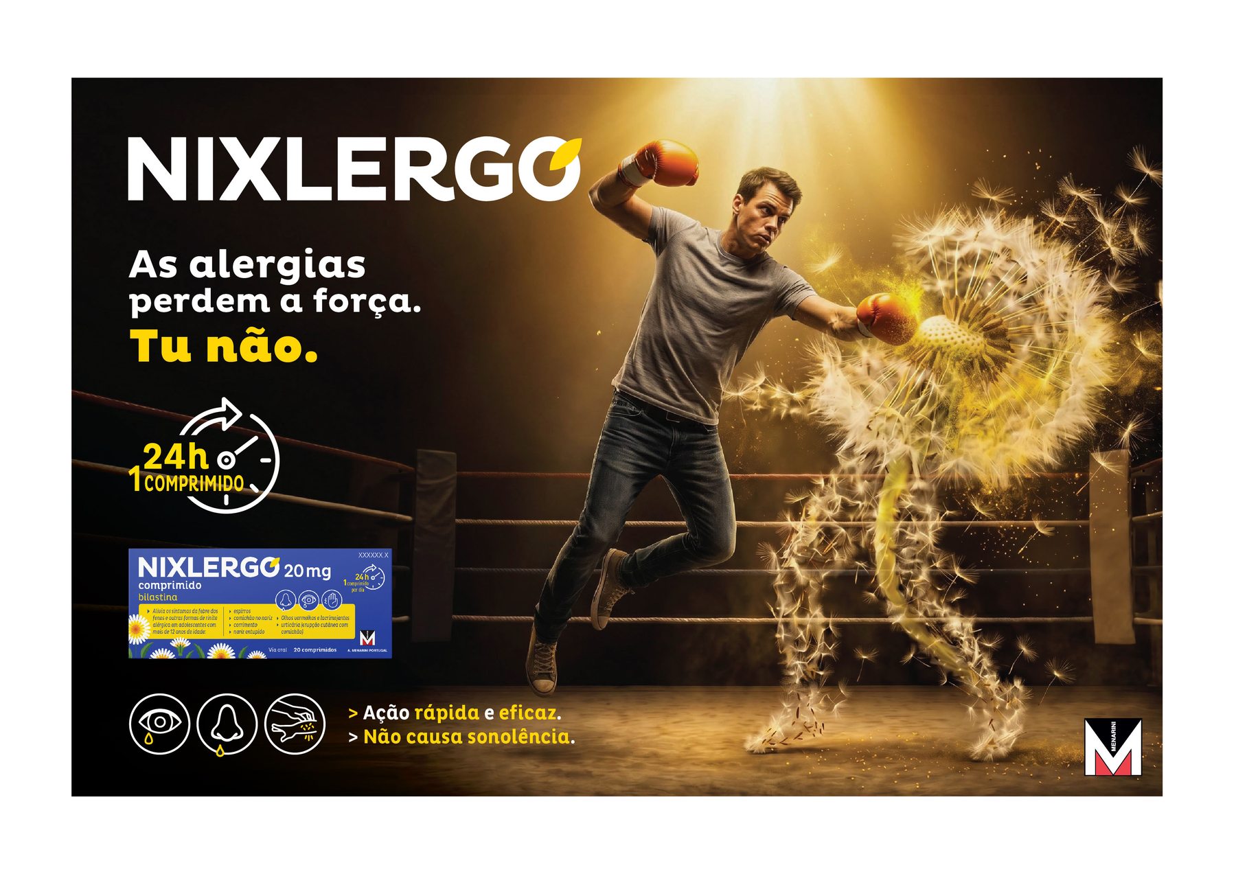 KV Nixlergo Boxe